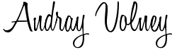 andray sig